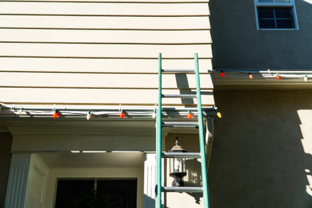 Best Siding Painting and Refinishing  in Joshua, TX